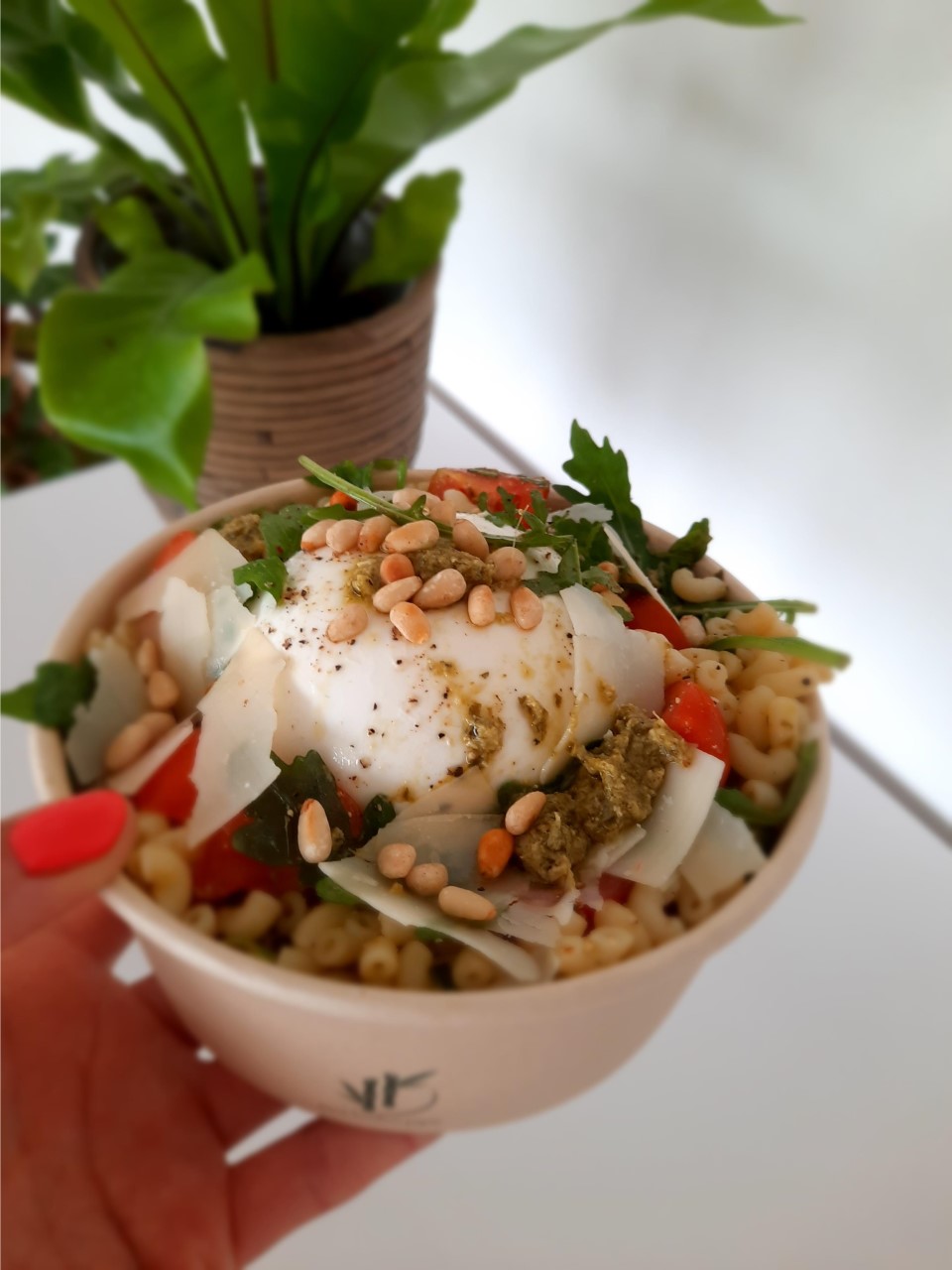 Veggie Picknickbox